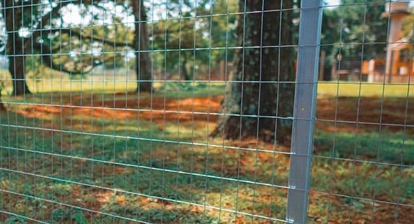 Detalle de malla metálica instalada entre árboles